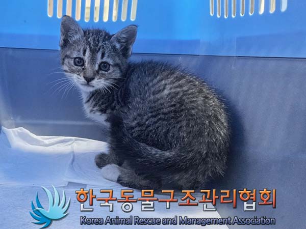 종료(자연사) 한국…